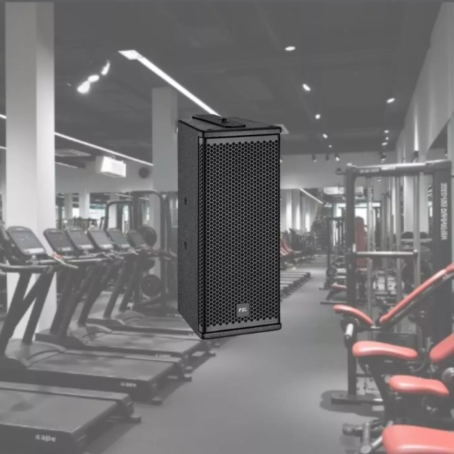 LOA TREO TƯỜNG FSL F-205T