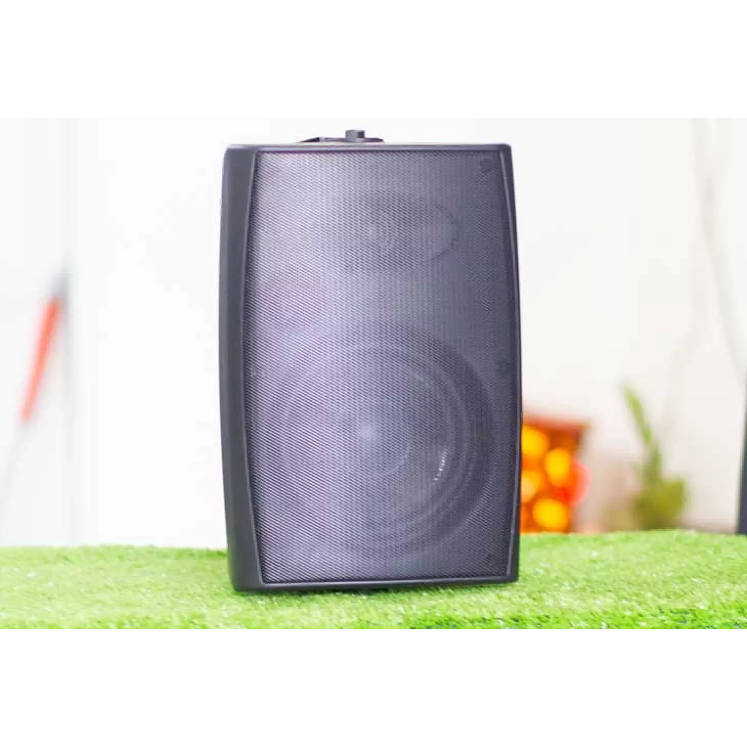 Loa treo tường FSL F206T