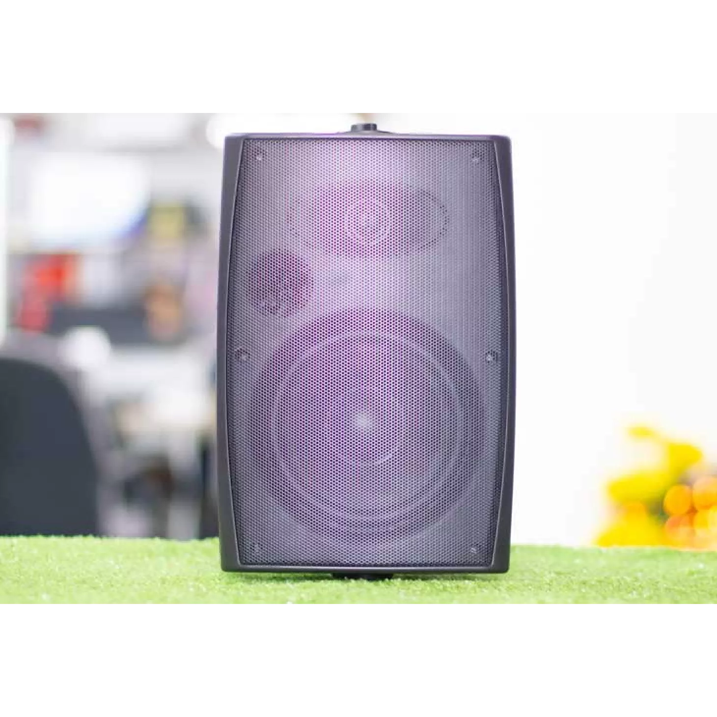 Loa treo tường FSL F206T